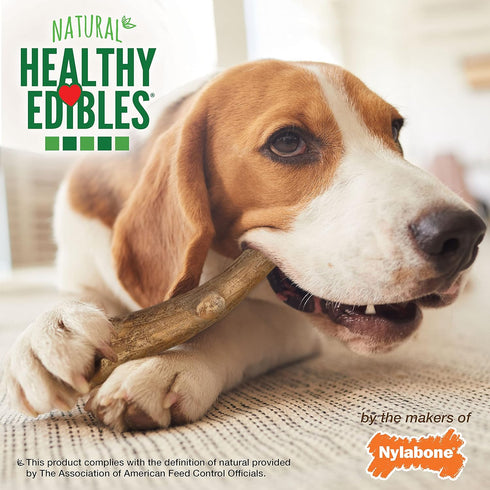Nylabone Healthy Edibles WILD Antler Natural Long Lasting Venison Flavor Dog Chew Treats Antler Medium/Wolf (10 Count), -...