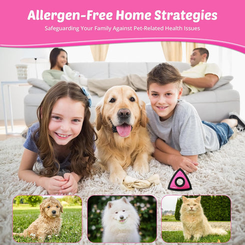 Mini Pet Hair Remover Dog Hair Remover Cat Hair Remover Triangle Car Detailing Pet Hair Remover for Couch Pet Hair Remover for Carpet Car Detailin...