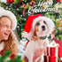 Christmas Dog Collars - Red Plaid Snowflake-Themed Christmas Cute Collar for Small Dog, Adjustable Dogs Collar for Pet Decorative Collar (Christma...