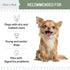 Chew + Heal All in 1 Dog Vitamin - 60 Soft Chew Treats - Chewable Multivitamin with Probiotics, Digestive Enzymes, for Skin and Coat, Hip and Join...