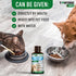 Natural Dog Cough Medicine & Antibiotic for Cats Respiratory Infection - Sneezing Relief & Kennel Cough Treatment - Trachea Collapse & Pet Asthma ...