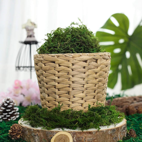 BYHER Artificial Moss Fake Green Grass for Centerpieces Home Kitchen Garden Decor (8OZ, Fresh)...