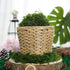 BYHER Artificial Moss Fake Green Grass for Centerpieces Home Kitchen Garden Decor (8OZ, Fresh)...