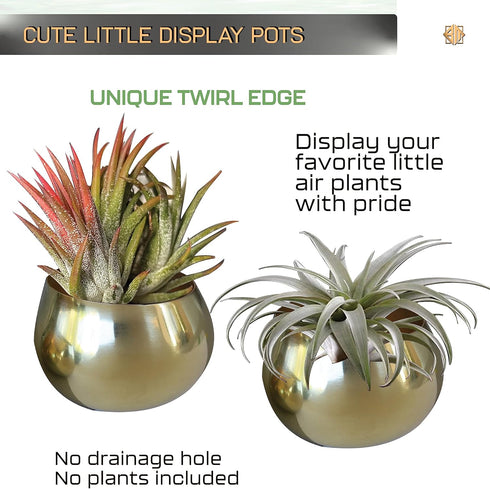 Birchwood & Moss Air Plant Pots Set of 2 - Mini 3in Gold Planter Pots for Indoor Plants, Brass Plant Holder Succulent Cactus Pot Air Plants Frame ...