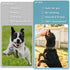 Portable Electronic Device Cover, IP68 Waterproof Air Tag Pet Collar Holder for Tracking Pets, Fits All Width Collars, Newest Airtag Case Easy to ...