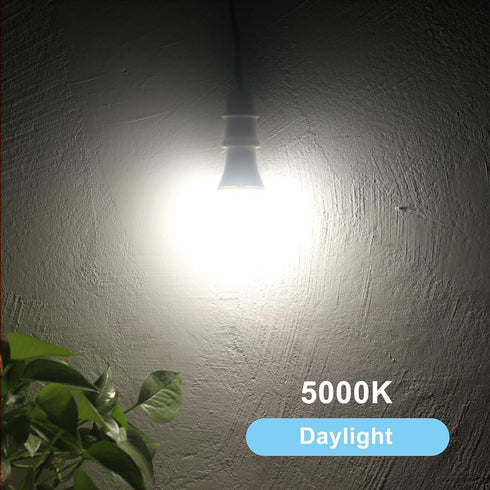 Dusk to Dawn Light Bulbs Outdoor, 60W Equivalent, Daylight, LED 9.5W, A19, 2-Pack, HQ-H011...