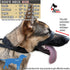 Dog Headcollar for Large Dogs (L), No-Pull Dog Collar for Large Dog. This No-Pull Dog Headcollar does not harm or hurt your dog and works better t...