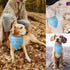 Dog Birthday Bandanas Boy Dog Birthday Outfit Decorations Scarf Gifts for Birthday Boy Dog Puppy Pet Happy Birthday Blue Dog Bandana Dog First Bir...