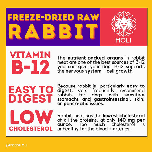HOLI Rabbit Single Ingredient Dog Food Protein Topper - Made in USA – Human-Grade Freeze Dried Dog Food Mix in Topping – Grain Free, Gluten Free –...