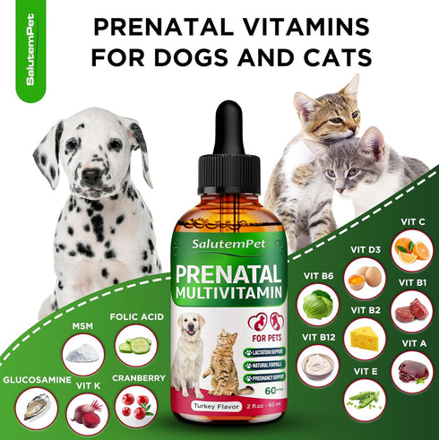 Dog Prenatal Vitamins | Pregnant Cat Supplies | Prenatal Vitamins for Dogs | Product for Pregnant Cat | Prenatal Dog Vitamins | Vitamins for Pregn...