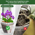 Orchid Pot, 7 Pack 6 Inch Clear Square Plastic Breathable Orchid Pots for Repotting, Plant Potswith Holes and Saucers for Indoor Plants, Spider Pl...