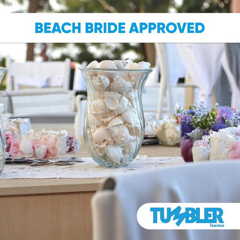Tumbler Home Mix of White Seashells - Set Includes 1 Pound White Shells up to 3 inches - Home Decor, Vase Filler, Wedding Centerpiece, Christmas, ...