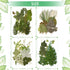 Timtin 84 Pieces Dried Pressed Leaves Flowers for Resin Mini Dried Flowers for Crafts Greenery Assorted for Art DIY Handmade Bookmarks 4 Bags(Vivi...