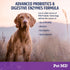 Pet MD Probiotics & Enzymes for Dogs - Gut Health Chews with Prebiotics - Digestive Aid for Dogs with Upset Stomach, Diarrhea, Constipation, or Ga...