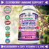 FRESH HEALTHCARE Elderberry Capsules - High Potency Black Elderberry with Zinc and Vitamin C - Premium Elderberry Vitamins for Adults - 3 in 1 Imm...