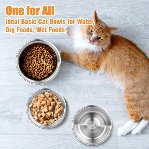 Stainless Steel Cat Bowls, Cat Food Bowls Whisker Friendly Shallow Cat Food Dish, Metal Basic Cat Bowls (3 PCS?6.2Inch)...