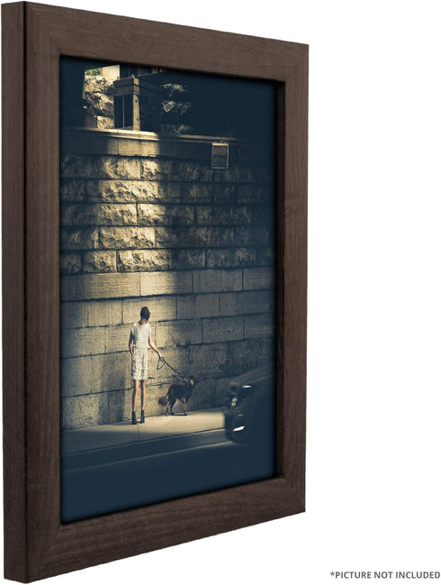 Craig Frames 232477781620N 1-Inch Wide Picture/Poster Frame in Smooth Wood Grain Finish, 16 by 20-Inch, Brazilian Walnut...