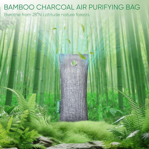Activated Charcoal Odor Absorber,6 Pack Nature Odor Eliminator for Shoes, Bamboo Charcoal Air Purifying Bags,Shoe Deodorizer and Moisture Absorber...