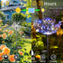 2 Pack Solar Firework Lights, 150 Led 8 Modes Solar Garden Lights for Outside, Water Proofing Led Sparkler Lights, Solar Outdoor Decorative Stake ...