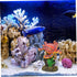 Kisangel Fish Tank Decoration Home Decor Fish Tanks Aquarium Marine Animal Ornament Sea Life Figurine Decorative Marine Animal Marine Animal Mini ...