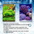 AquaMiracle Aquarium Powerhead Pump with Double Water Outlet & Aeration, 210GPH Fish Tank Water Pump Wave Maker for Aquarium, Submersible Aquarium...