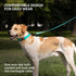 CollarDirect Martingale Dog Collar with Stainless Steel Chain and Quick Release Buckle - Reflective Collar for Large, Medium, Small Dogs - Mint Gr...