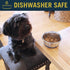 OurPets DuraPet Stainless Steel Dog Bowls, Dog Food Bowls & Dog Water Bowls (Up To 1.25 cups Great for Small Breeds)...