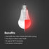 Feit Electric LED Color Changing Light Bulb - A19 with an E26 Medium Base Light Bulb - 60W Equivalent - 15 Year Life...