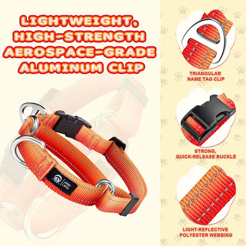 Martingale Dog Collar Light-reflective Polyester Collars for Dogs Whippets, Greyhounds, Saluki, American Bully, No-pull No-escape Safety Training ...