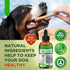Natural Antibiotics for Dogs | Dog Antibiotics | Supports Dog Allergy Relief | Dog Itch Relief | Dog Allergy Support | Dog Multivitamin | Pet Anti...