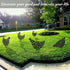 5PCS Rooster Animal Stakes, Chicken Family Garden Silhouette Yard Art, Hollow Out Animal Shape Decor for Outdoor-for Lawns Backyard 5PCS...