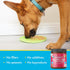 Visionary Pet Foods Tasty Spread for Dogs - Salmon Recipe - The Healthy Dog Treat - Alternative to Dog Peanut Butter - Use on a Dog Food Mat - Dog...