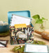 C.R. Gibson Forage 4x6 Recipe Card and Box Set, 6.6" x 4.1" x 4.8"...