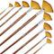 Artist Fan Paint Brushes Set 9pcs - Soft Anti-Shedding Nylon Hair Wood Long Handle Paint Brush Set for Acrylic Watercolor Oil Gouche Painting...