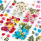 153 Pcs Dried Pressed Flowers for Crafts, Real Pressed Wildflowers Natural Dry Leaves Bulk with Tweezer for Epoxy Resin Jewelry Molds, Candle Soap...
