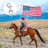 4PCS Flag Swivel Snap Clips Stainless Steel Flag Snaps Hooks Heavy Duty Metal Flagpole Accessories Eye Bolt Clips for Pet Leash, Key Chain, Leathe...