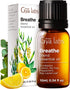 Gya Labs Breathe Essential Oil Blends - 100% Pure Natural Breathe Easy Essential Oils from Eucalyptus, Peppermint and More for Humidifier Cleaner ...