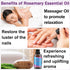 Organic Rosemary Oil for Hair Growth,100% Pure Undiluted Light-Weight Non-Greasy Rosemary Essential Oil for Hair,Scalp & Skin Care,Natural Hair Gr...