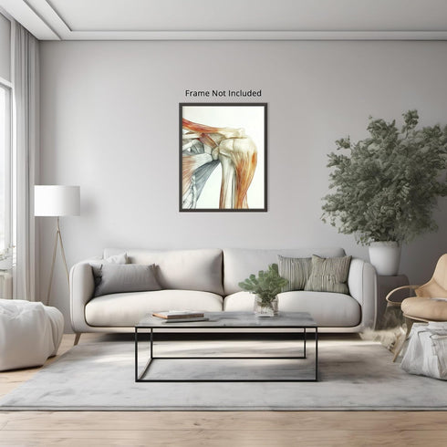 Posterizer 1 pcs-artistic illustration of the human shoulder joint 4-Teachers & Classrooms-Abstract & Modern Art-School and classroom art- unframe...