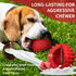 Apasiri Dog Balls Squeaky Dog Toys for Large Dogs, Dog Toys for Aggressive Chewers, Tough Spiky Dog Ball, Dog Ball, Floatable Rubber Pet Toys for ...