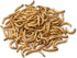 Mealworms Bird Feeder | 5 x 5 inch Powder Coated Mesh Bowl with Adjustable Stainless Steel Roof...