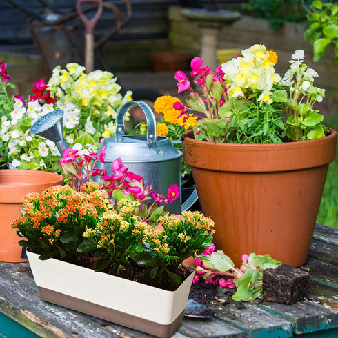 Window Box Planter Window Planter,Rectangle Flower Pot Plant Planter Flower Pots Plant Containers Succulent Cactus Window Box with Saucer,Small Su...