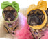 KUDES 2 Pack Pet Cute Bow Headbands Stretchy Bow Headgear Polyester Bow Headdress Handmade Head Cover for Dog Cat Puppy Bathroom Hair Accessories ...
