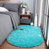 Noahas Ultra Soft Fluffy Bedroom Rugs Kids Room Carpet Modern Shaggy Area Rugs Home Decor 2.6' X 5.3', Teal Blue...