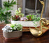 The HC Companies Sorrento 5.5 Inch Succulent Pot - Lightweight Indoor Plastic Succulent Planter with Drainage, Vanilla Bisque...