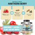 Hawthorn Berry 5:1 Extract, 3000mg per Capsule, Promotes Healthy Immune Support & Circulation, Powerful Antioxidants, 120 Veg Cap, Organic Hawthor...