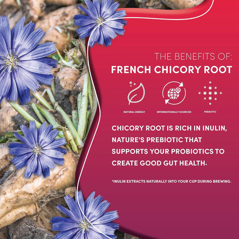 Teeccino Vanilla Nut Chicory Coffee Alternative - 11 Ounce - Ground Herbal Coffee That’s Prebiotic, Caffeine Free & Acid Free, Medium Roast...