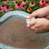 Mosquito Dunks 102-12 Mosquito Killer for Bird,Fish, 2 Pack...