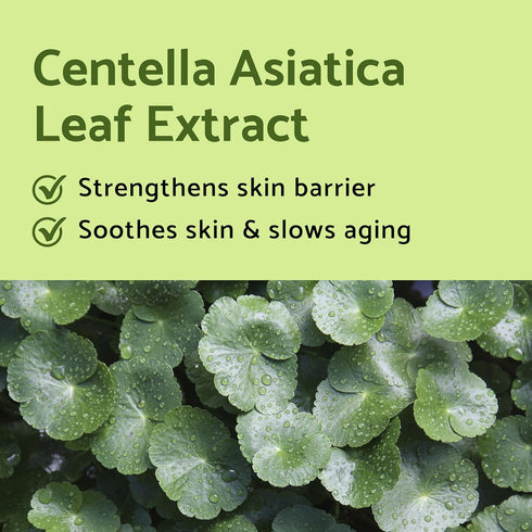 iUNIK Centella Mini Set Travel-Friendly Skincare Set Ultra calming and hydrating for sensitive skin - Tea Tree Relief Toner,Serum, Centella Calmin...