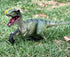 Gemini&Genius Velociraptor Dinosaur Toy for Kids, Raptor Dinosaur Action Figure, Party Supplies, Dino Collection Toy, Dinosaur Play & Display, Gif...